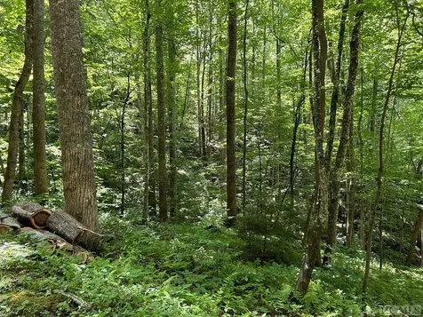 Lot 3 Vess Owen Road Tuckasegee NC 28783