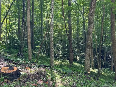 Lot 3 Vess Owen Road Tuckasegee NC 28783