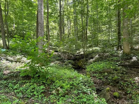Lot 3 Vess Owen Road Tuckasegee NC 28783