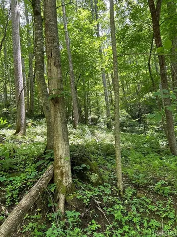 Lot 3 Vess Owen Road Tuckasegee NC 28783