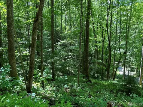 Lot 3 Vess Owen Road Tuckasegee NC 28783