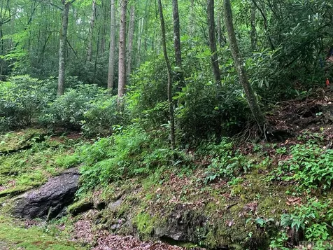 Lot 3 Vess Owen Road Tuckasegee NC 28783