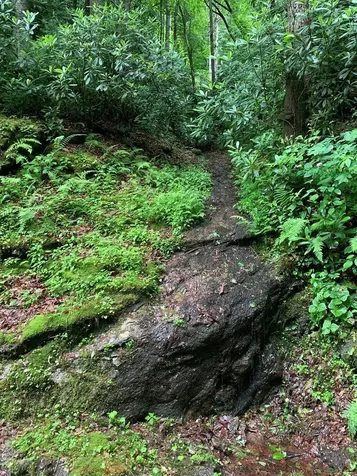 Lot 3 Vess Owen Road Tuckasegee NC 28783