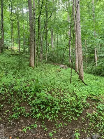 Lot 3 Vess Owen Road Tuckasegee NC 28783