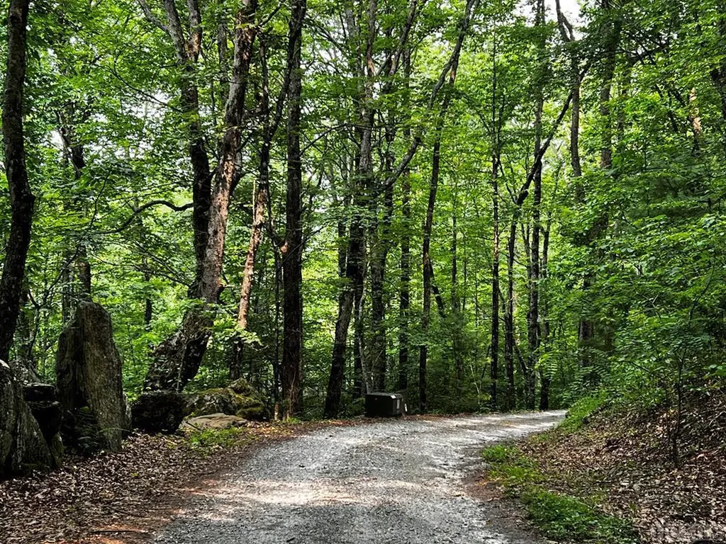 Lot 6 Mountainview Drive Scaly Mountain NC 28775