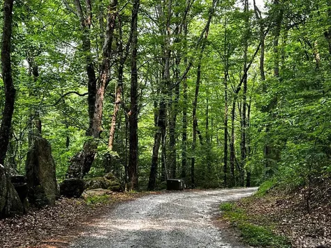 Lot 6 Mountainview Drive Scaly Mountain NC 28775