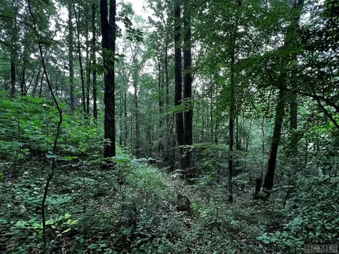 Lot 6 Mountainview Drive Scaly Mountain NC 28775