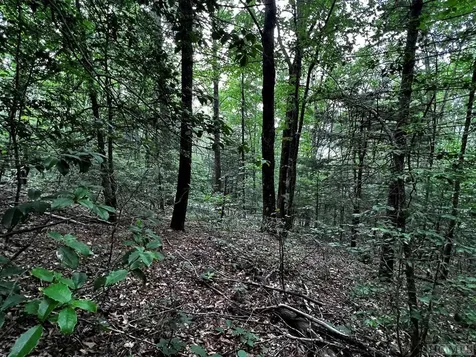 Lot 6 Mountainview Drive Scaly Mountain NC 28775
