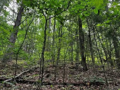 Lot 6 Mountainview Drive Scaly Mountain NC 28775