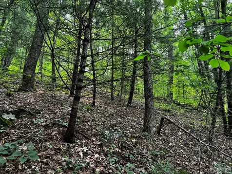 Lot 6 Mountainview Drive Scaly Mountain NC 28775