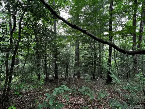 Lot 6 Mountainview Drive Scaly Mountain NC 28775
