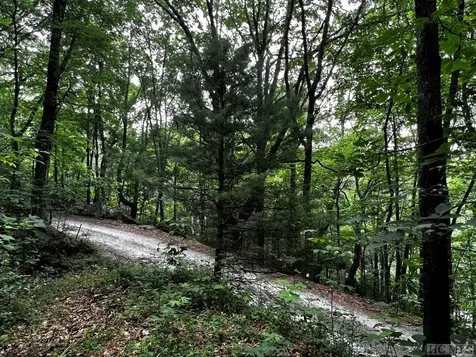 Lot 6 Mountainview Drive Scaly Mountain NC 28775