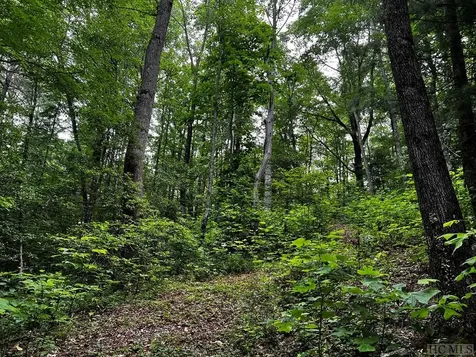 Lot 6 Mountainview Drive Scaly Mountain NC 28775