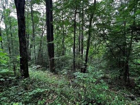 Lot 6 Mountainview Drive Scaly Mountain NC 28775