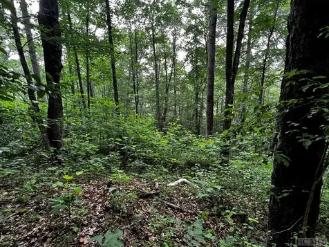 Lot 6 Mountainview Drive Scaly Mountain NC 28775