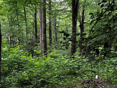 Lot 6 Mountainview Drive Scaly Mountain NC 28775