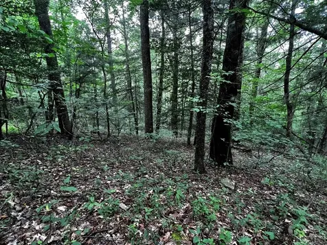 Lot 6 Mountainview Drive Scaly Mountain NC 28775