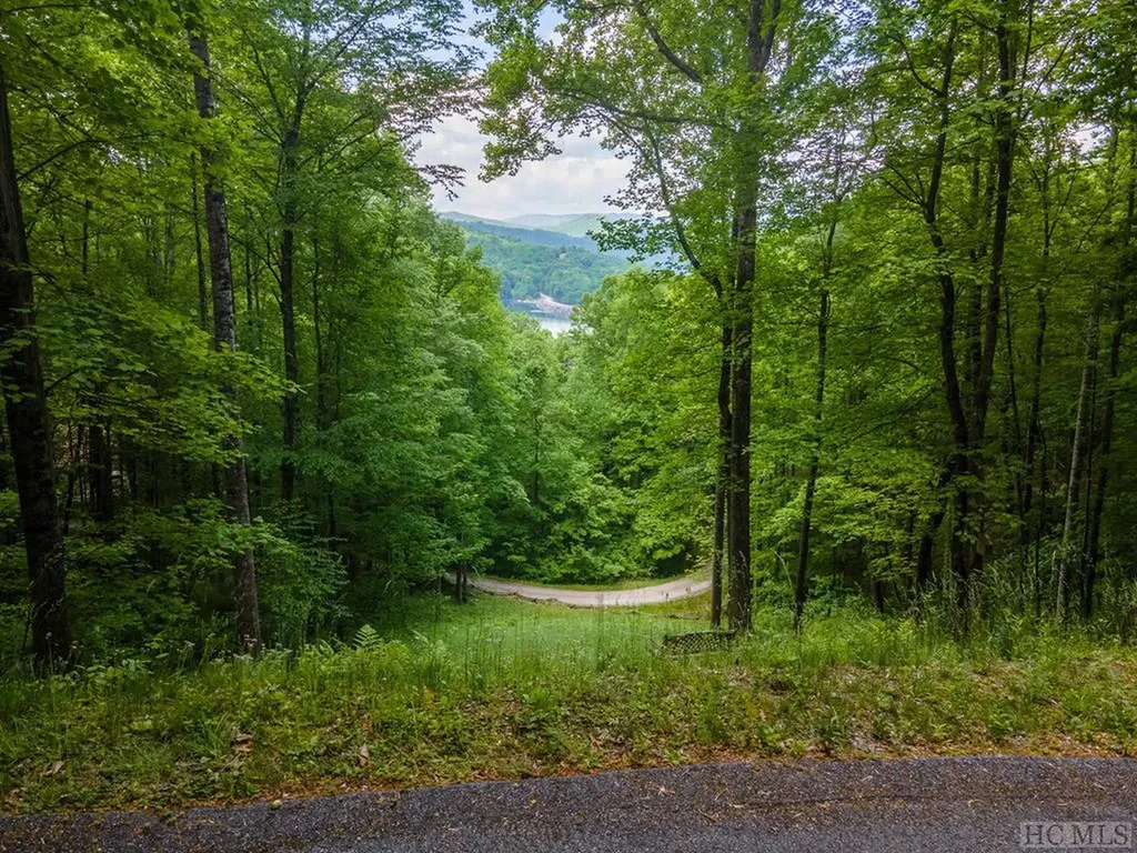 Lt 10 Von Trapp Tuckasegee NC 28783