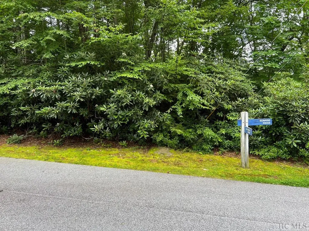 Lot 237 Sunrise Ridge Court Sapphire NC 28774