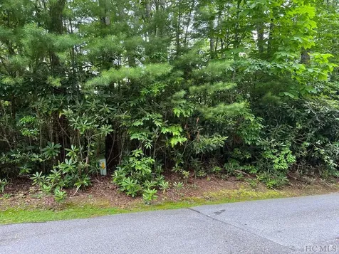 Lot 237 Sunrise Ridge Court Sapphire NC 28774