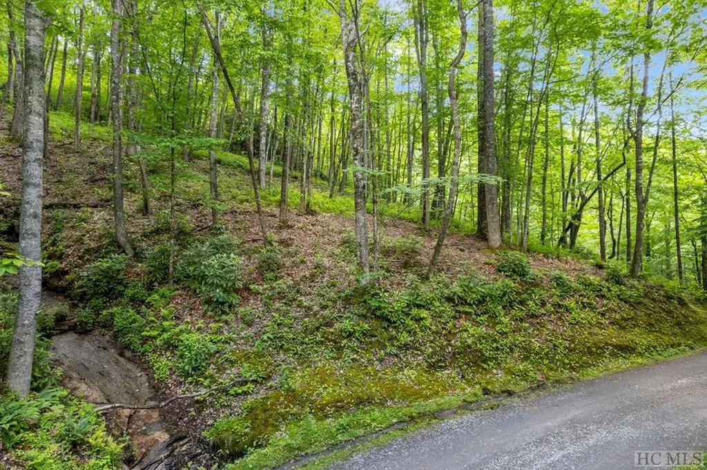 12c Von Trapp Tuckasegee NC 28783