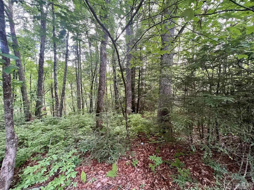 13 Mountain Laurel Sapphire NC 28774