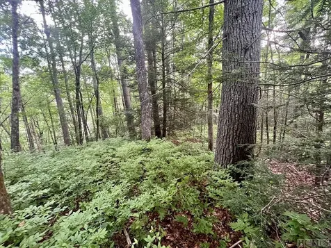 13 Mountain Laurel Sapphire NC 28774