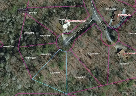 13 Mountain Laurel Sapphire NC 28774
