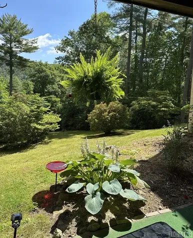 75 Holly Ridge Road Sapphire NC 28774