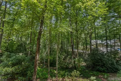 1028 Links Drive Cashiers NC 28717