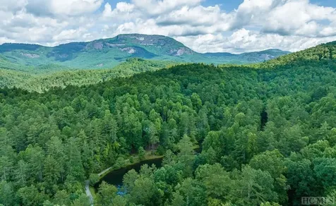 1524 Mccall Road Cashiers NC 28717