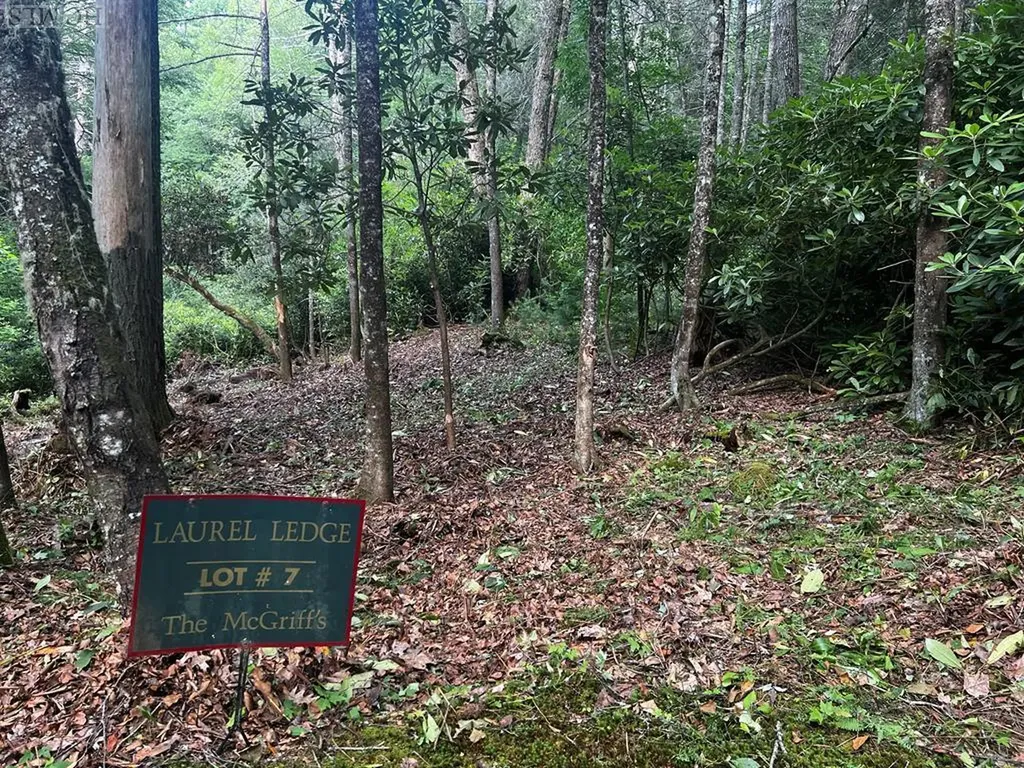 Lot #7 Cascades Falls Trail Cashiers NC 28717