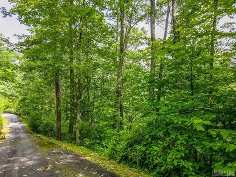 137 Teton Point Highlands NC 28741