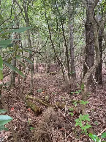 Parcel 7 Kent Drive Highlands NC 28741