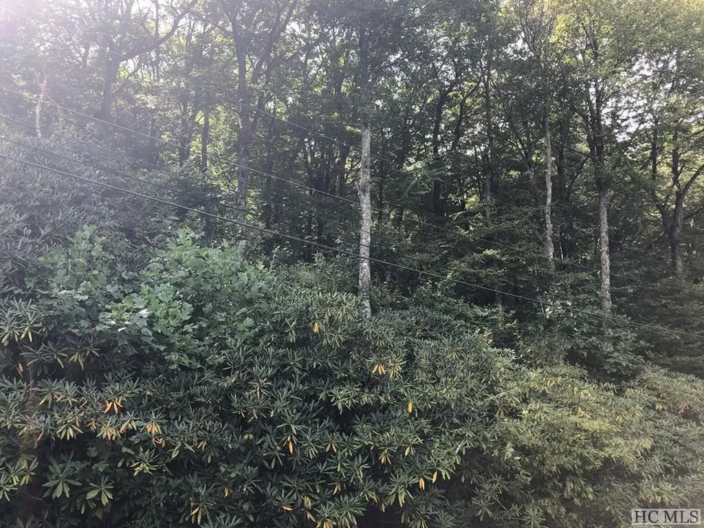 Tbd Moorewood Circle Highlands NC 28741