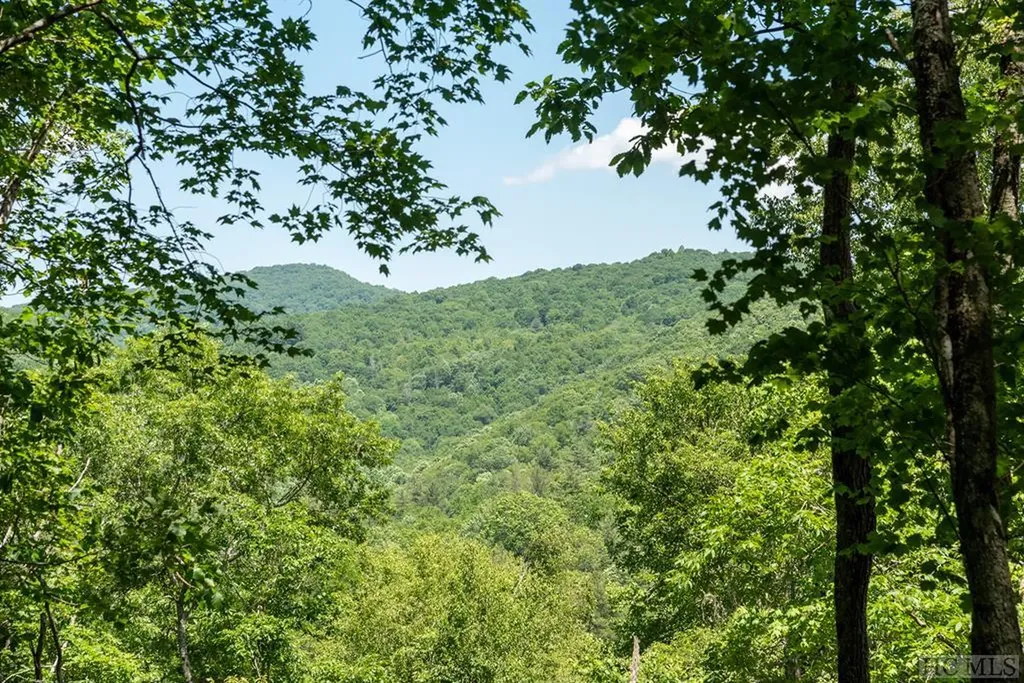 Lot 92 Roaming Road Glenville NC 28736