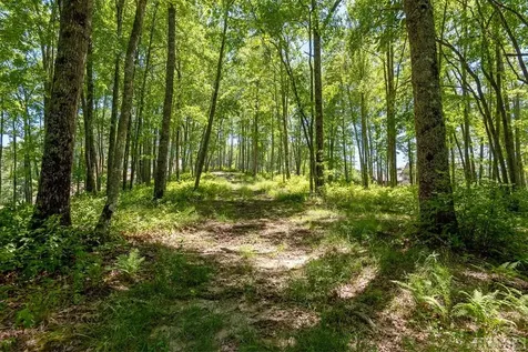 Lot 92 Roaming Road Glenville NC 28736