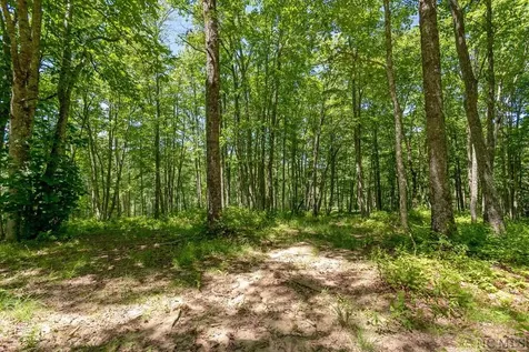 Lot 92 Roaming Road Glenville NC 28736