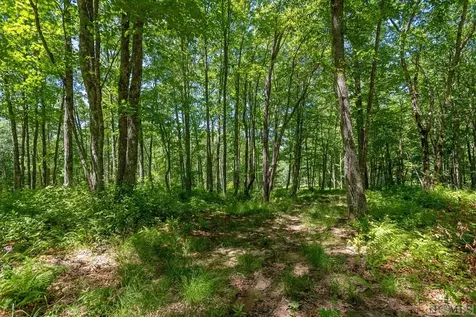 Lot 92 Roaming Road Glenville NC 28736