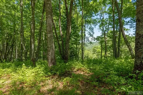 Lot 92 Roaming Road Glenville NC 28736