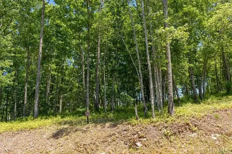 Lot 92 Roaming Road Glenville NC 28736