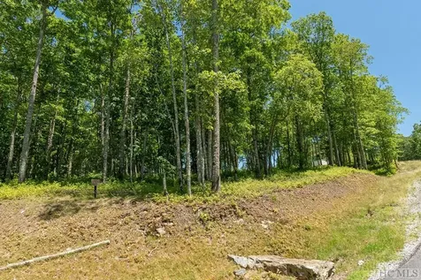 Lot 92 Roaming Road Glenville NC 28736