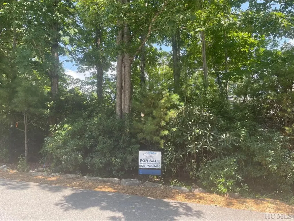 Lot 16 Trillium Court Sapphire NC 28774