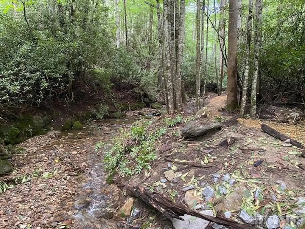 619 Speckled Feather Pass Sapphire NC 28774