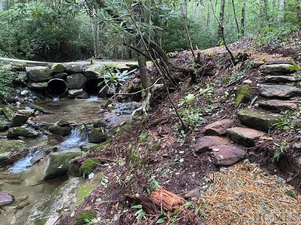 619 Speckled Feather Pass Sapphire NC 28774