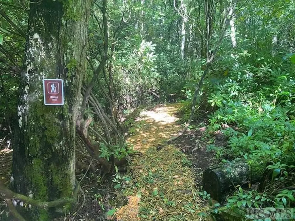 619 Speckled Feather Pass Sapphire NC 28774