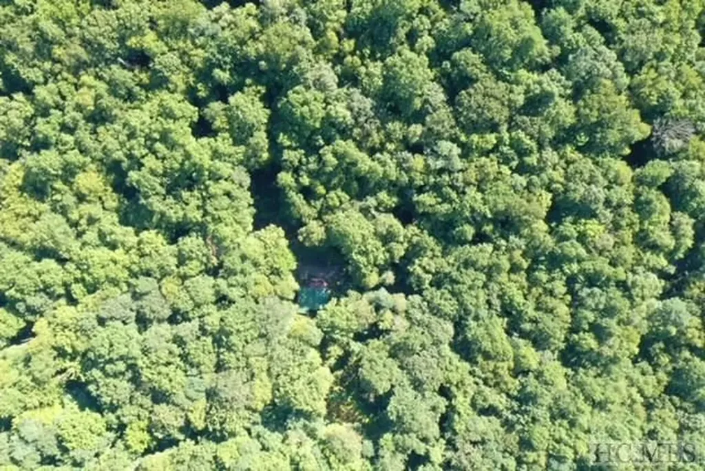 619 Speckled Feather Pass Sapphire NC 28774