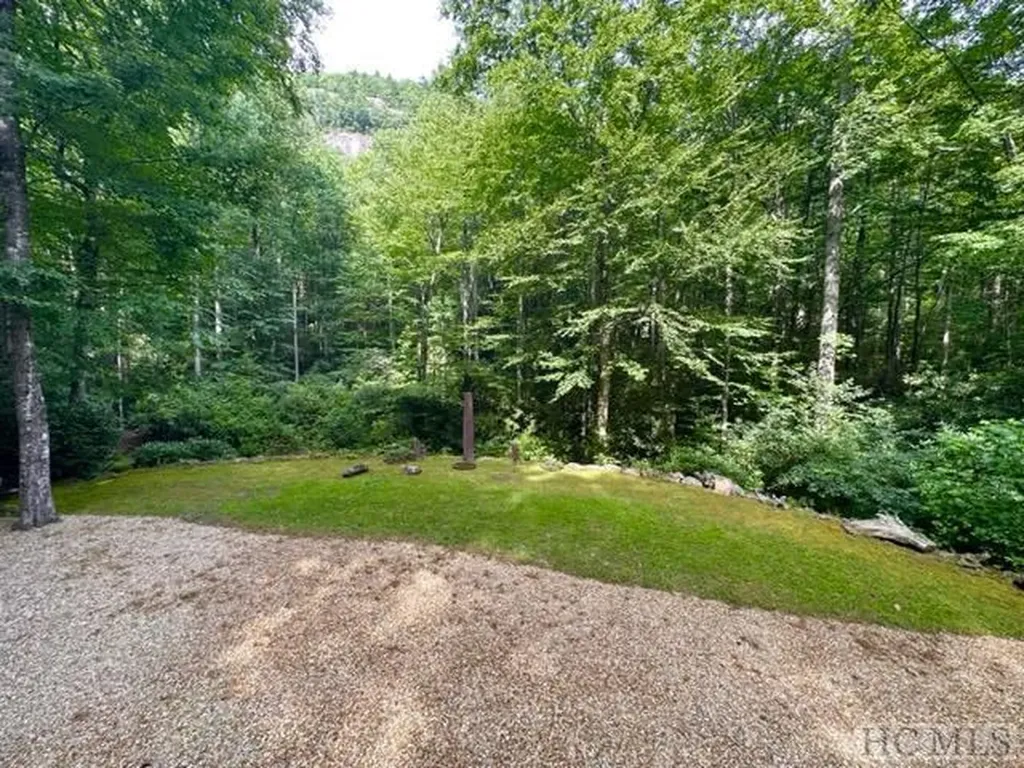 619 Speckled Feather Pass Sapphire NC 28774