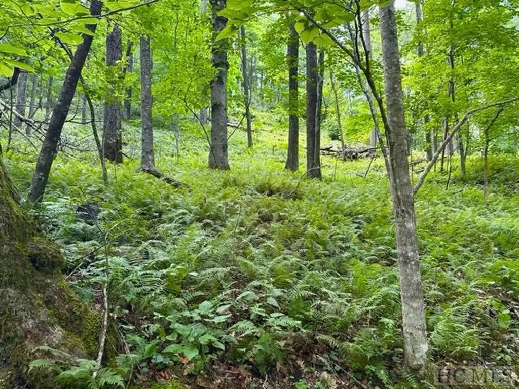 619 Speckled Feather Pass Sapphire NC 28774