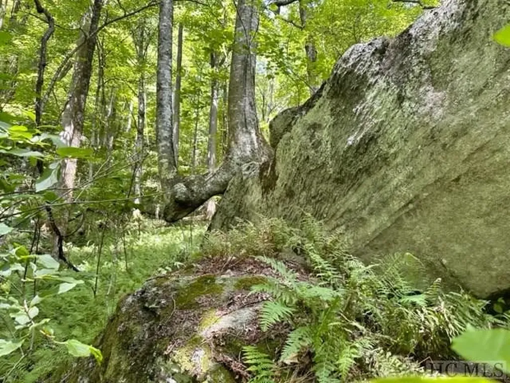 619 Speckled Feather Pass Sapphire NC 28774